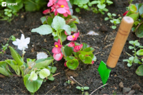 Հողի փխրեցում